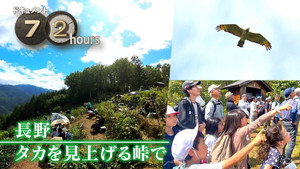 Nagano: Watching for Hawks
