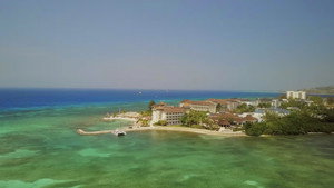 Jamaican Me Crazy