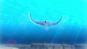 Searching for a Manta Ray