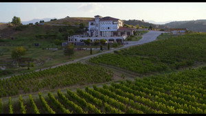 Cabernet Franc