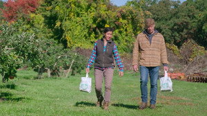 Westford: Abating the Old, Seeding the New