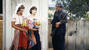 Shotgun Wedding (II)