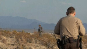 Desert Pursuit