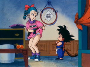 The Secret of the Dragon Balls