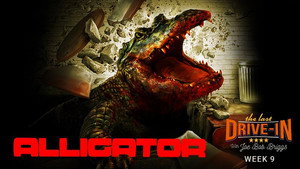 Alligator