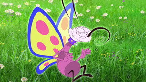 Butterfly Race