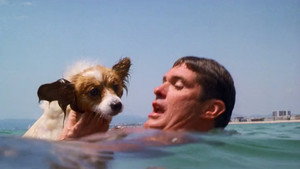 The Swimmer