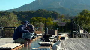 Kagoshima