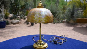 Desert Botanical Garden, Hour 1