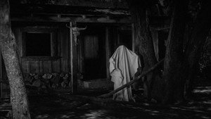 The Live Ghost