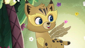 If anyone can, KittyCan