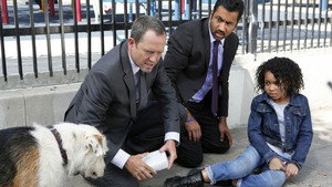 Man's Best Friend