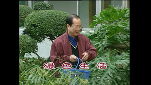 Episode 1006