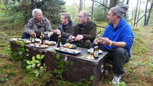 En kortnæbbet gås i Thy