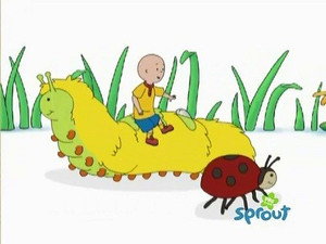 Caillou's Gym Day