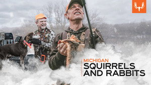 Michigan Squirrels and Rabbits
