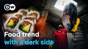 The sushi hype- Ravenous appetites and species extinction
