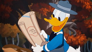Duck Flies Coop