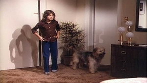 Boomer and Miss 21st Century