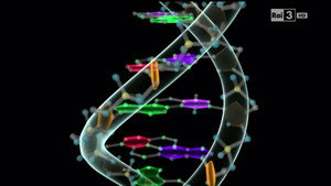 The surprises of DNA