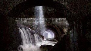 The Sewer King