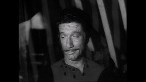 Champagne Safari