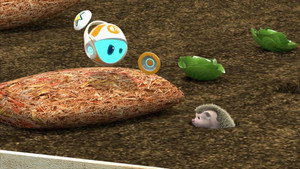 Roger Goes Hog Wild
