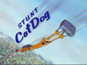 Stunt CatDog