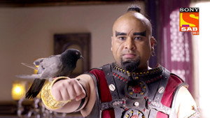 Aladdin's Problems As A Bird