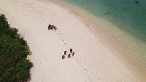 Episode 32