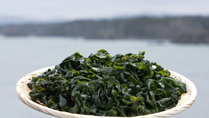 Wakame