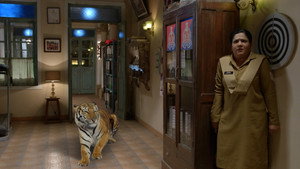 Tiger In The Station