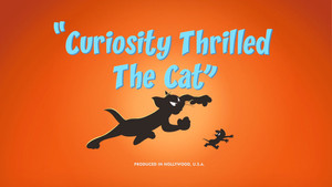 Curiosity Thrilled The Cat