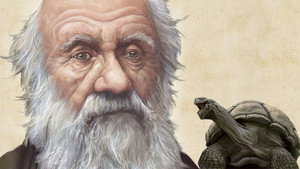 Darwin - A 4-million-year journey