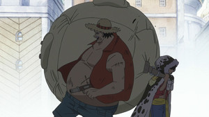 The Beginning of The New Chapter! The Straw Hats Reunited!