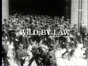 Wild by Law
