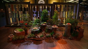 Elimination Challenge: Aussie Native Ingredients