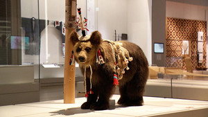 Ainu: A National Museum of Ainu Culture
