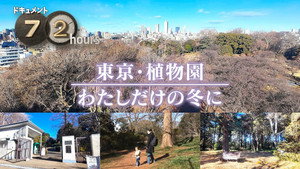 Tokyo Botanical Garden My only winter