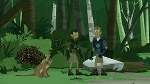 Fossa Palooza!