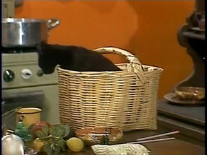 Leche para la Gata