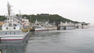 Life on the Squid Hunt