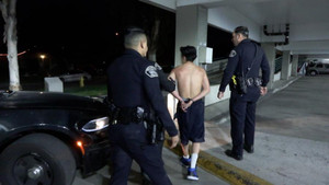 Assault Investigation