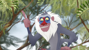 Rafiki's New Neighbors