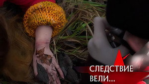 Episode 33