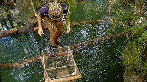 Snake Lake