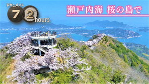 Sakura in the Seto Inland Sea