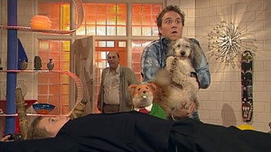 Dog Gone