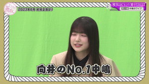 Sakurazaka46 Hit Ranking 2023 (Second Half)