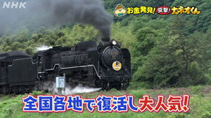 Episode 278